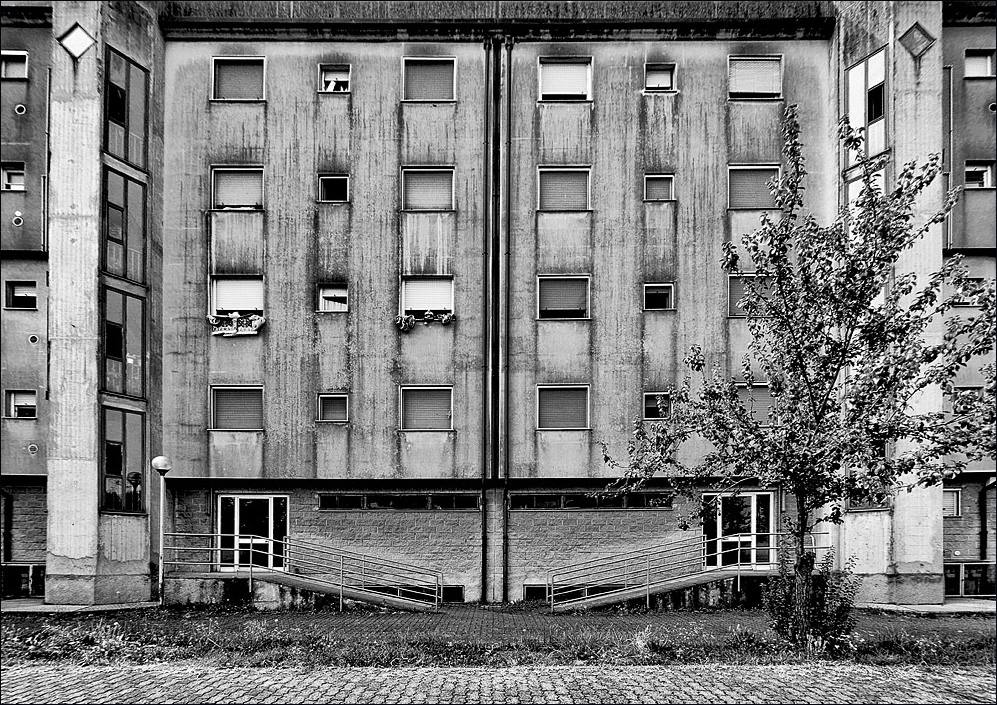 DSC_4659(a).jpg