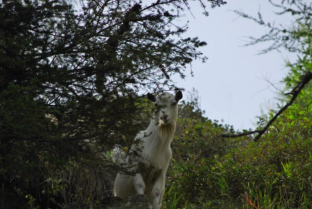 DSC_4660fsiresize.jpg