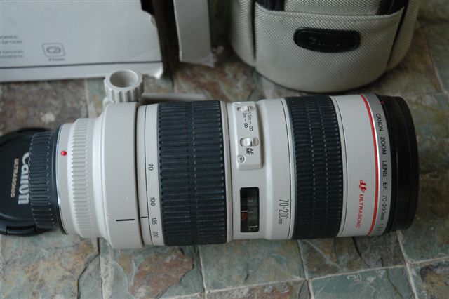 DSC_4687.JPG