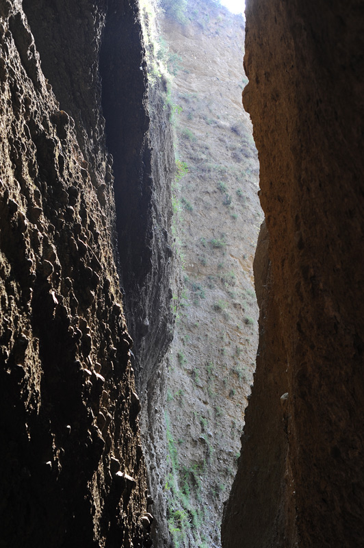 DSC_4695.jpg