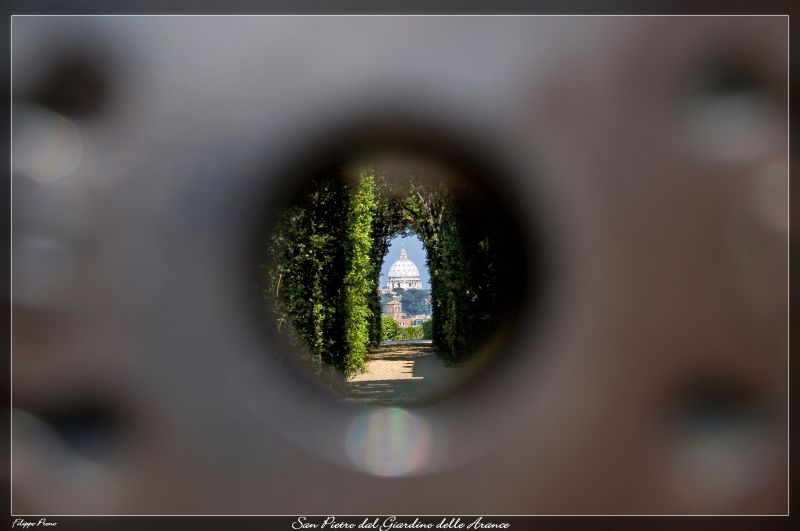 DSC_4799_1.jpg