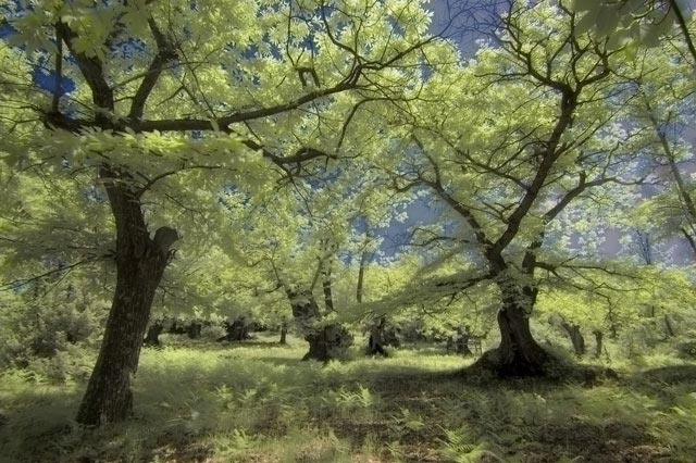 DSC_4812_Photo4u.jpg
