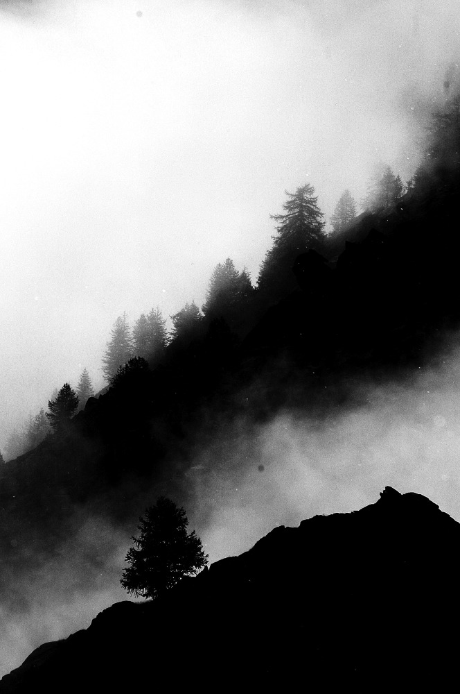 DSC_4846.JPG