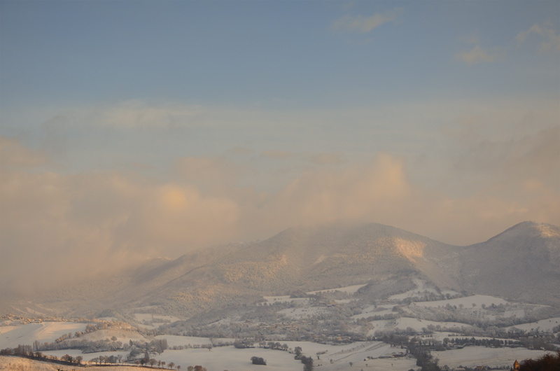 DSC_4853-800.jpg