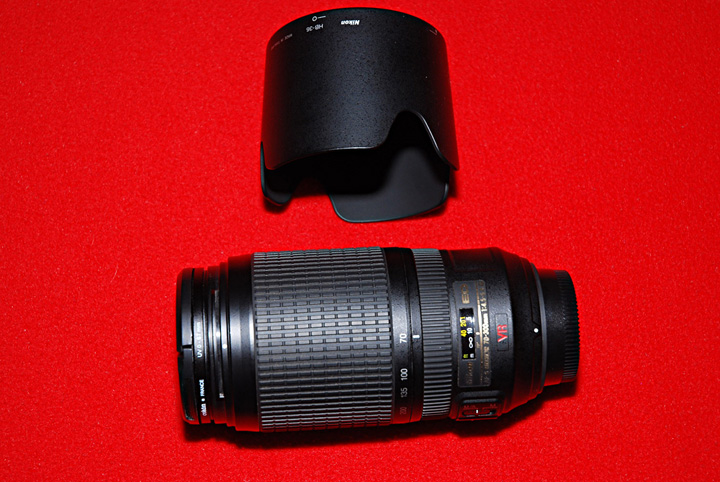 DSC_4859.jpg