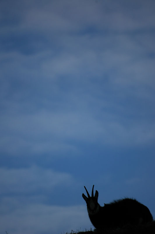 DSC_4906.jpg