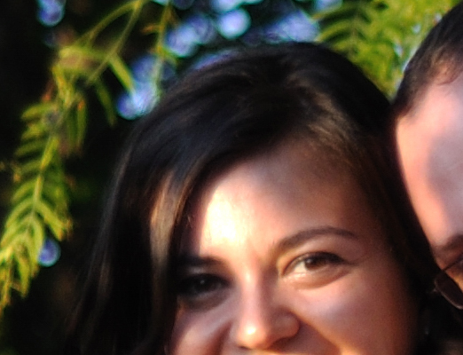 DSC_4955_rawdefault.jpg