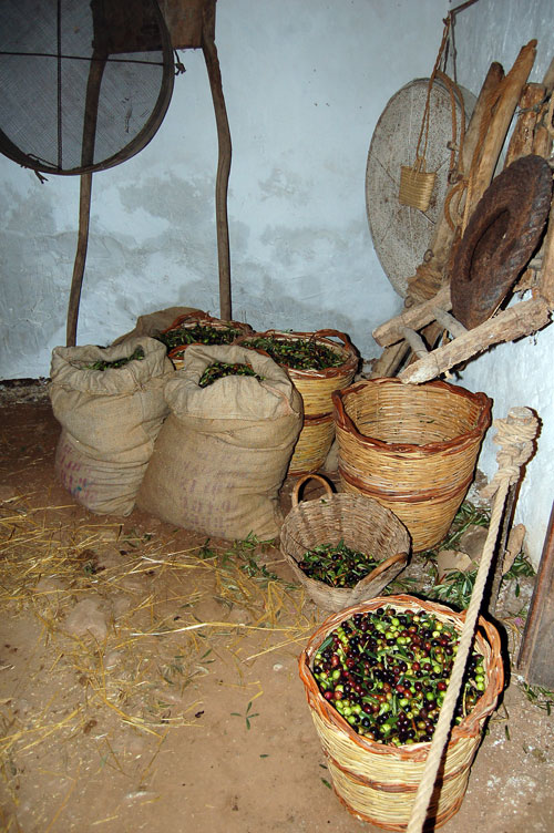 DSC_4986.jpg