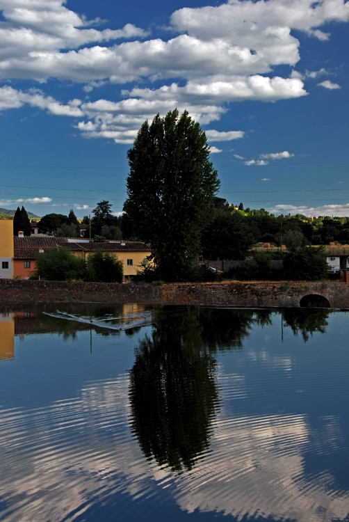 DSC_5002.jpg