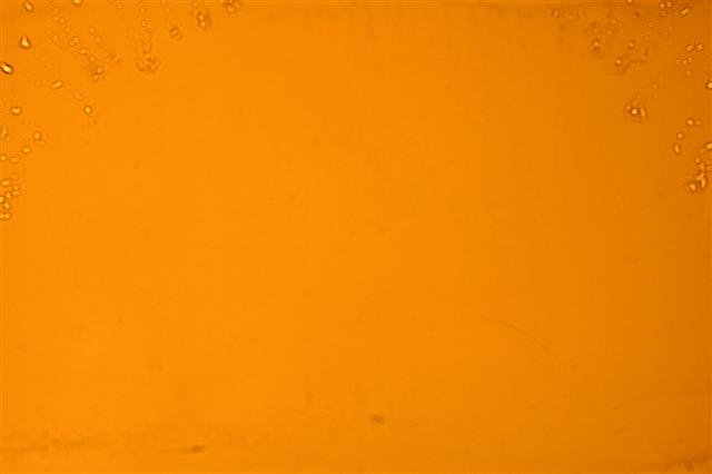 DSC_5002 (Small).jpg