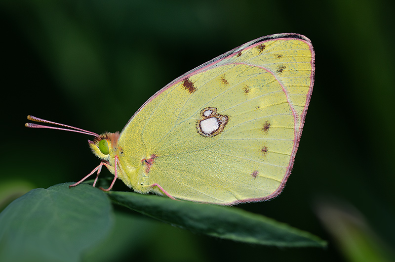 DSC_5015.jpg