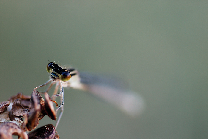 DSC_5025.jpg