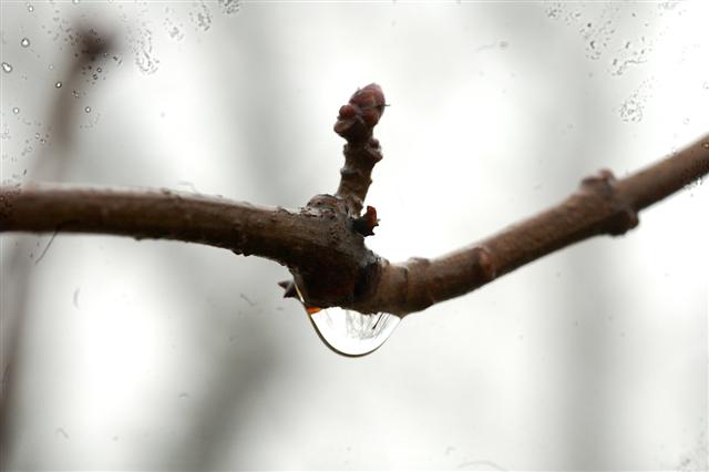 DSC_5049 (Small).jpg