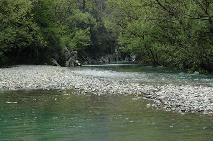 DSC_5067 copia.jpg