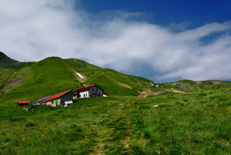 DSC_5073.jpg