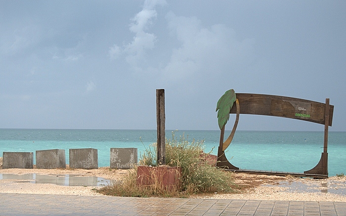 DSC_5108.jpg