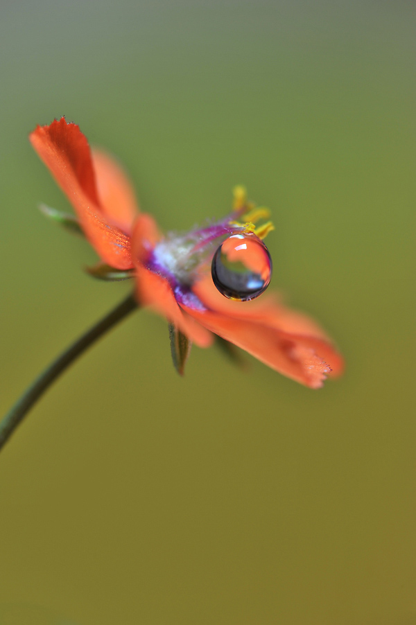 DSC_5123-600-1.jpg