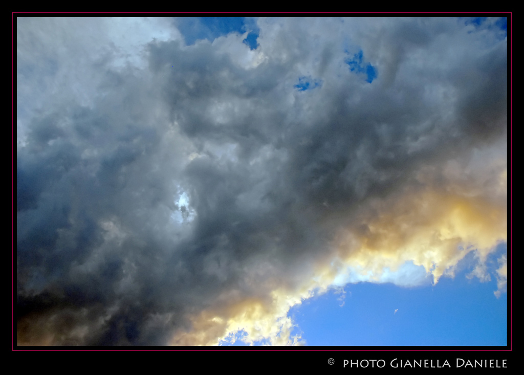 DSC_5176-1web.jpg
