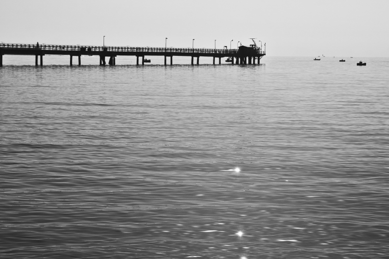 DSC_5193daraw_2958.JPG