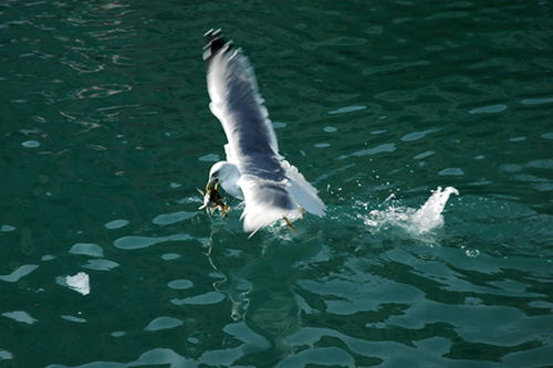 DSC_5229light.jpg
