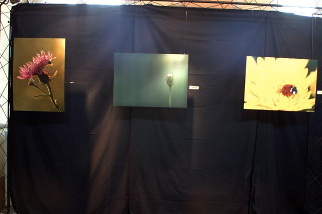 DSC_5359 (Small).jpg