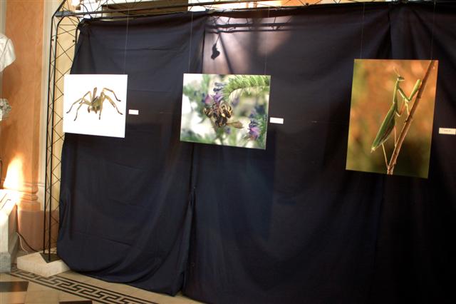 DSC_5366 (Small).jpg