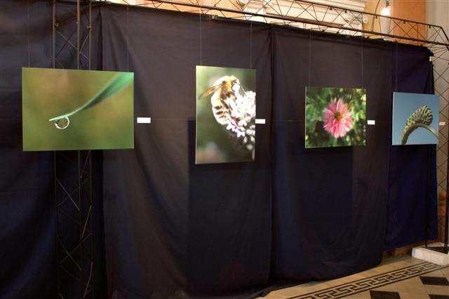 DSC_5367 (Small).jpg
