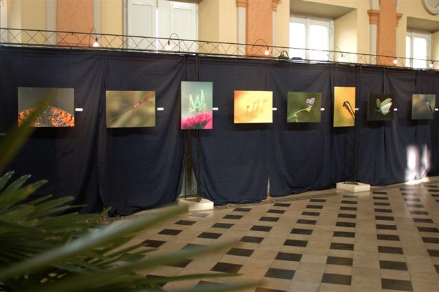 DSC_5373 (Small).jpg