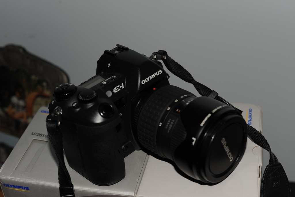 DSC_5412.JPG