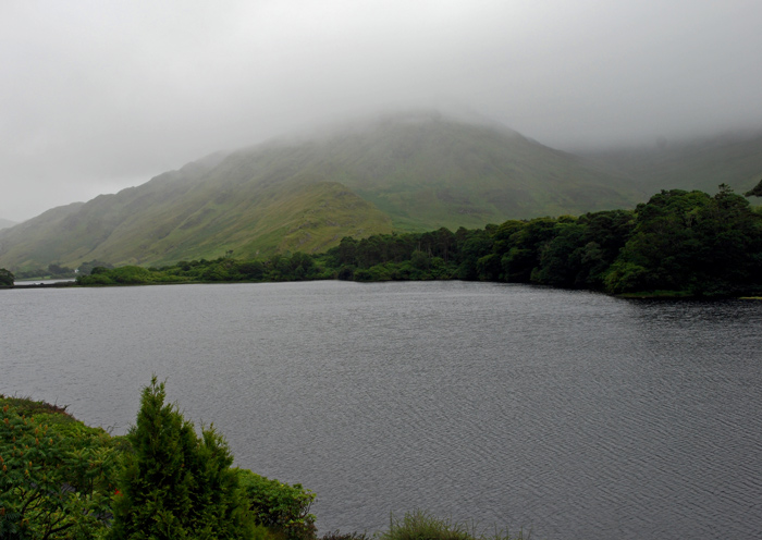 DSC_5425.jpg