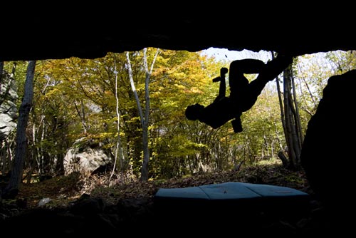DSC_5460_8572.jpg