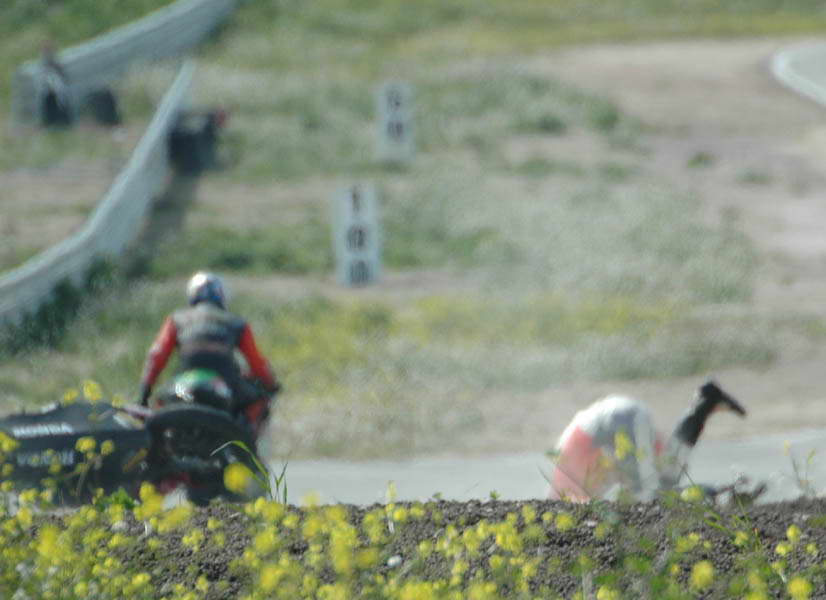 DSC_5480.jpg