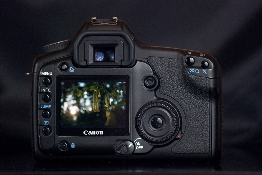 DSC_5488s.jpg