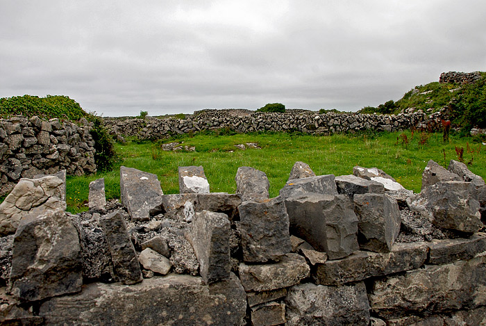 DSC_5489.jpg