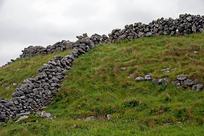 DSC_5497.jpg