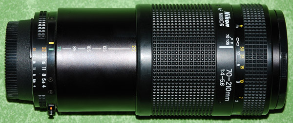DSC_5505 bassa risol.jpg