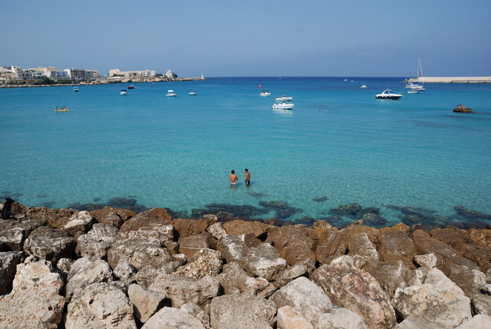 DSC_5521.jpg
