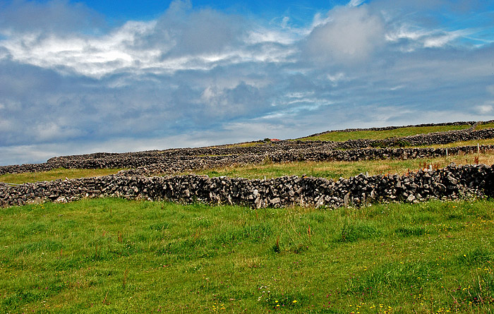 DSC_5537.jpg