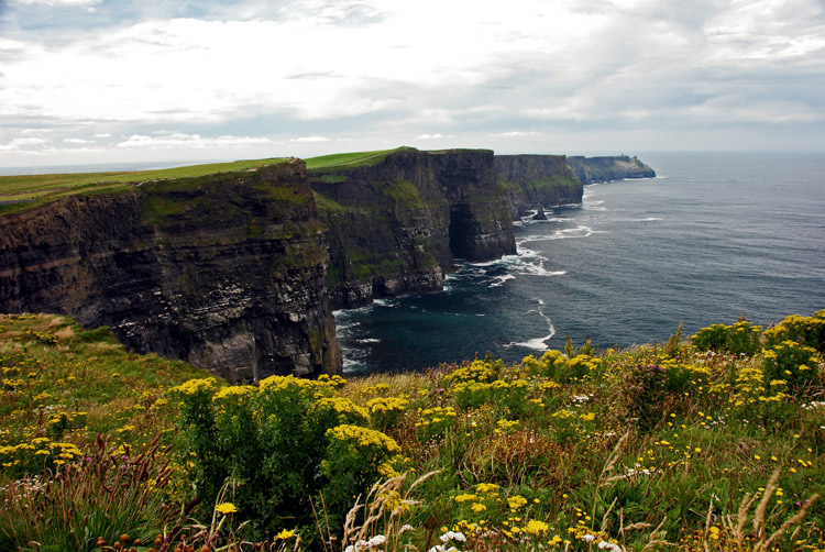 DSC_5554.jpg