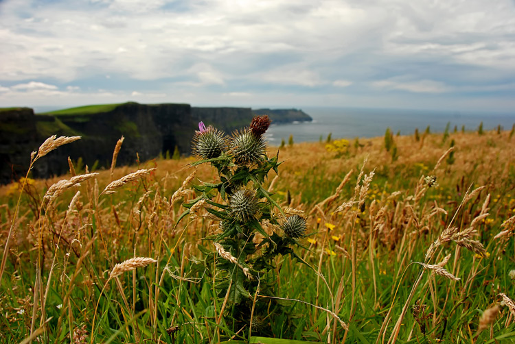 DSC_5565.jpg