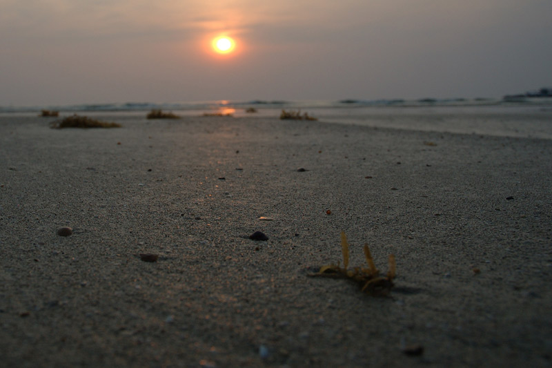 DSC_5573.jpg