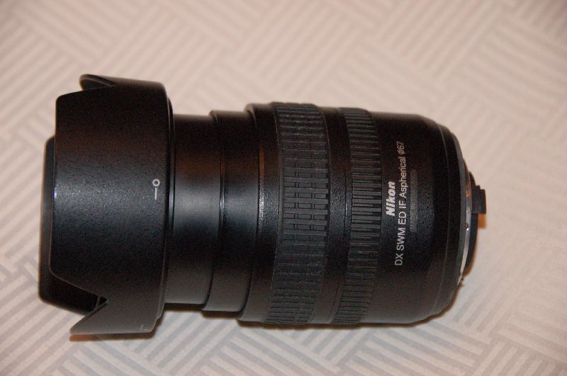 DSC_5592y.JPG