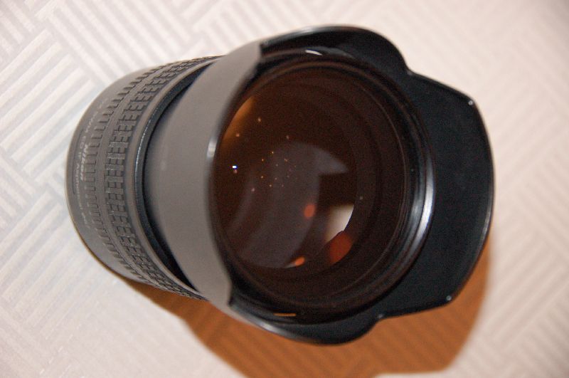DSC_5596y.JPG