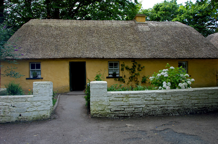 DSC_5636.jpg
