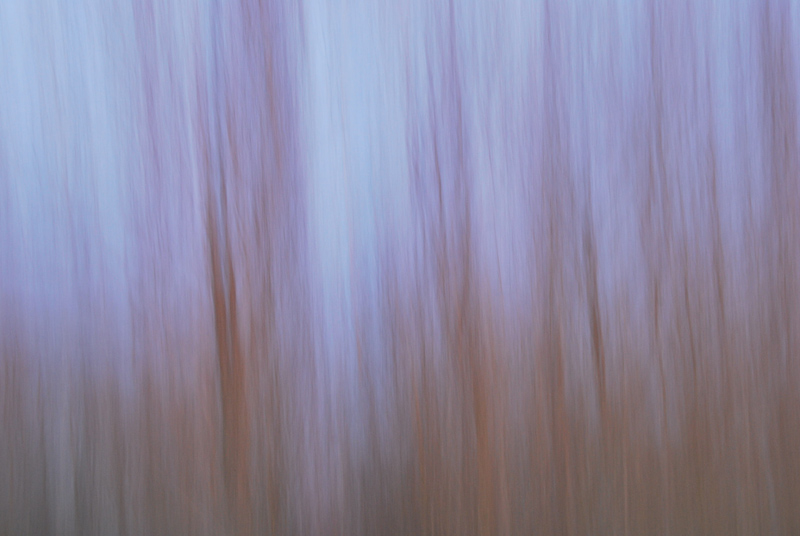DSC_5666.jpg