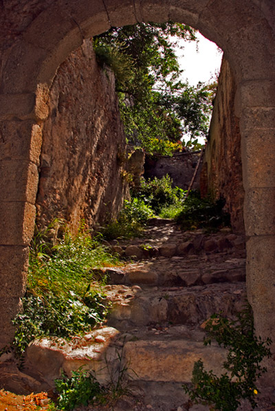 DSC_5677.jpg