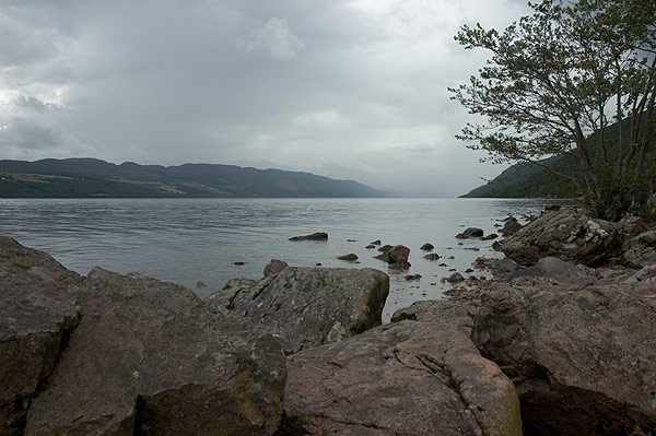 DSC_5744col.jpg