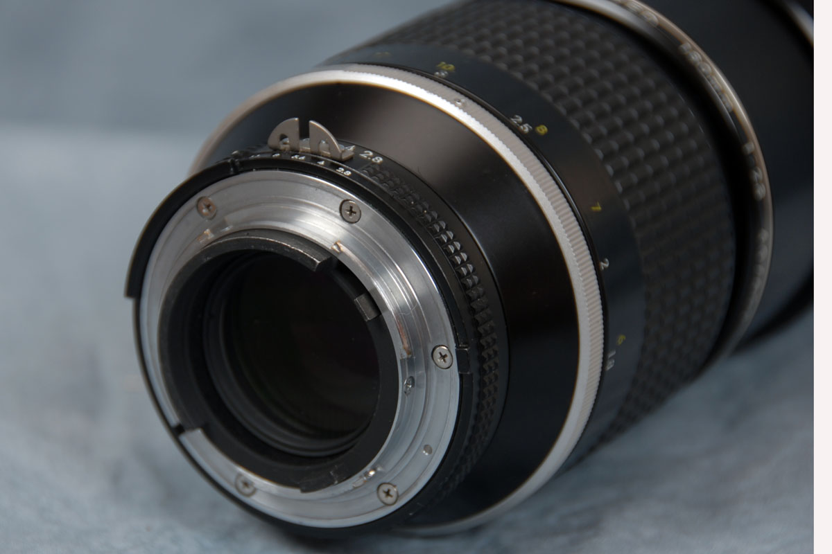 DSC_5747x.JPG