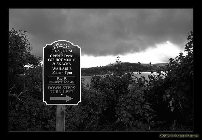 DSC_5748f.jpg