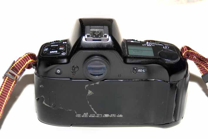 DSC_5765web.jpg